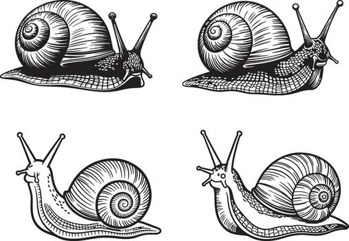 Set of snails and snail shells isolated on white background vector