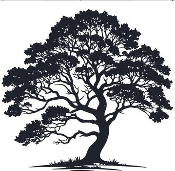 Large detailed silhouette of a deciduous tree with spreading branches vector