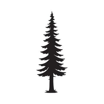 Pine tree isolated on white background vector