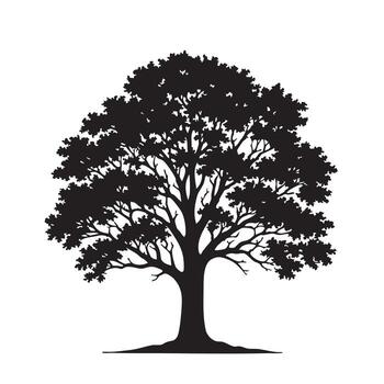 tree isolated on white background vector