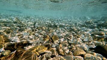 Underwater View Of Pebble Seabed With Sunlight Creating Shimmering Patterns In Crystal Clear Water video