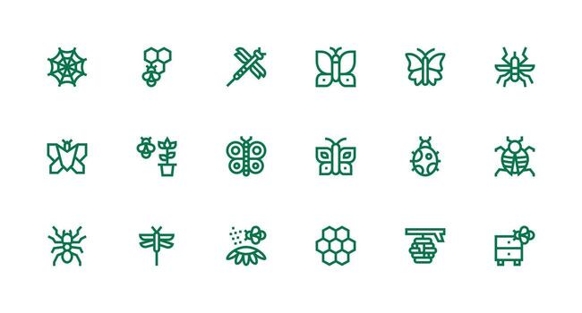 18 Icons for Insect in Strong Stroke Line Format Modern Line and Glyph Icon Series vector