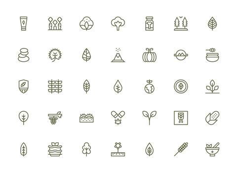 Regular Clean Line Style Natural Icons with 35 Vectors Professional Icon Pack for Development Work