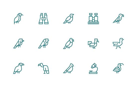 Zoology Icon Collection with 15 Regular Line Designs Professional Icon Pack for Development Work vector
