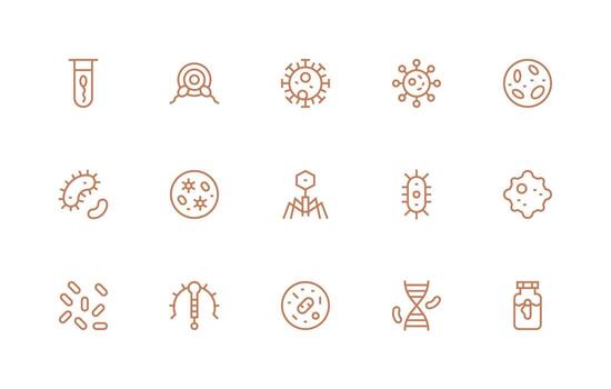 15 Regular Line Style Icons from Organism Collection Responsive Icon Set for Flexible Layouts vector