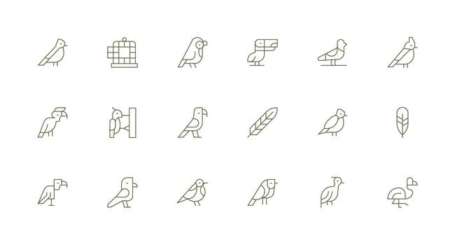 Ornithology Design Icons featuring 18 in Minimal Line Style Lightweight Icon Series for Fast Prototypes vector