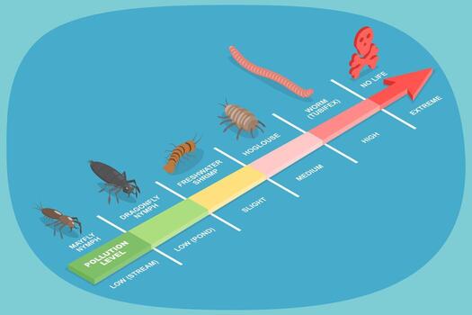 3D Isometric Flat Illustration of Climate Change Effects, Diagram of Water Pollution Levels Using Indicator Species From Low To Extreme vector