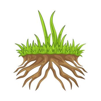 Grass Patch with Root System vector