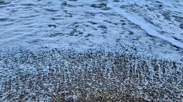erfarenhet de lugnande stillhet av hav vågor försiktigt läppande mot de Strand, skapande fascinerande mönster video