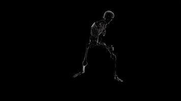 Skeleton Dancing in the Dark 3D Animated Loop video