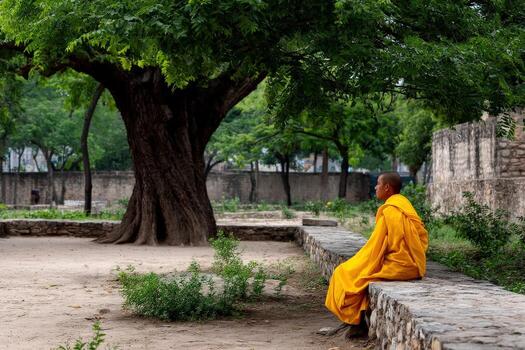 A tree with green leaves photo