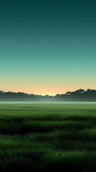 A green field with grass and trees at sunset photo