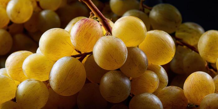 A bunch of yellow grapes on a black background photo