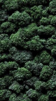 A green wall with many trees photo