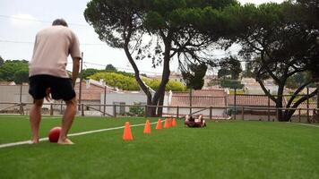 Engaging and Dynamic Training Session on a Grass Field with Cones, a Ball, and Enthusiasm video