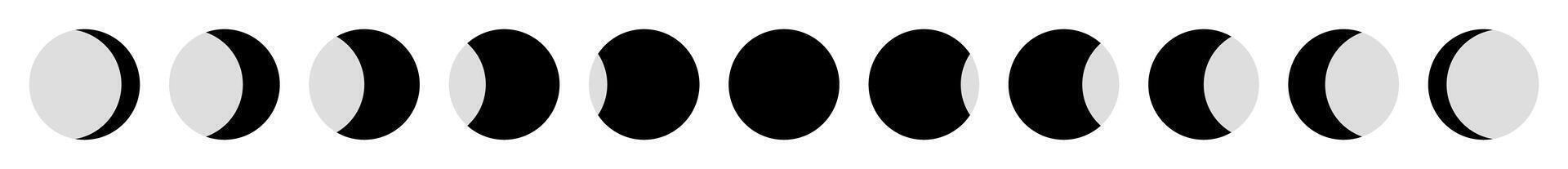 Detailed lunar phases chart with moon shapes in grayscale showing waxing waning gibbous crescent full new moon isolated on transparent background flat astronomy design illustration vector