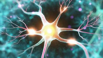 Close-Up Visualization of Glowing Neurons in Colorful Abstract Background video