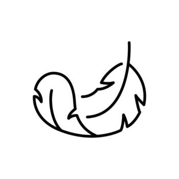Feather icon. Simple outline style. Light, weight, smooth, pillow, bird, quill, fluff, falling, lightweight concept. Thin line symbol. Isolated design vector
