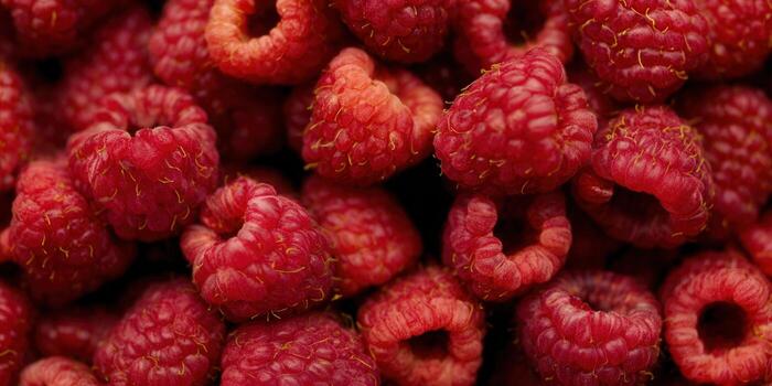 A close-up view of ripe and fresh raspberries, ready to eat and enjoy. photo
