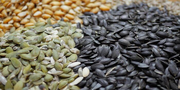 Various seeds create a colorful and textured close-up, perfect for culinary themes and healthy eating. photo