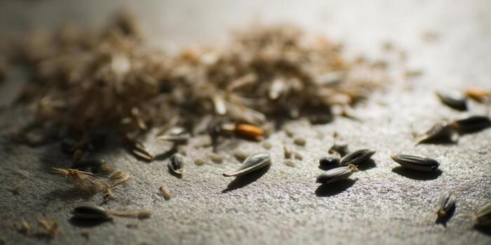 A close-up shot of scattered sunflower seeds, showcasing intricate details and textures. photo