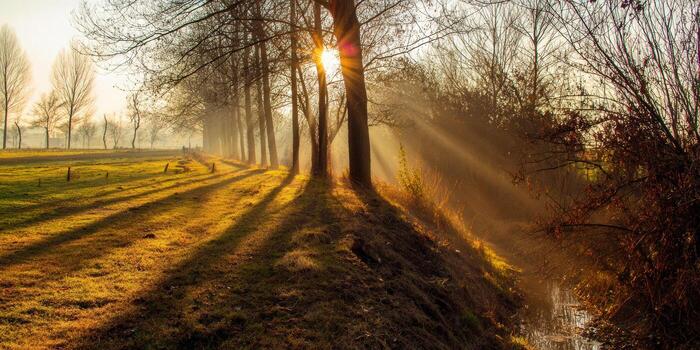 Sunlight streams through trees, creating a peaceful autumn landscape. Serene nature scene. photo