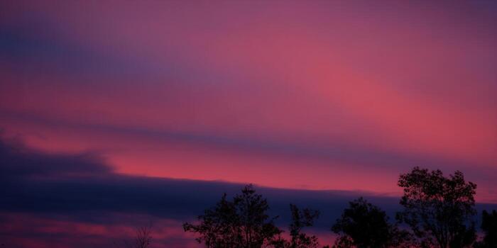 The sky is ablaze with a gorgeous pink sunset, casting shadows over a tree line. photo