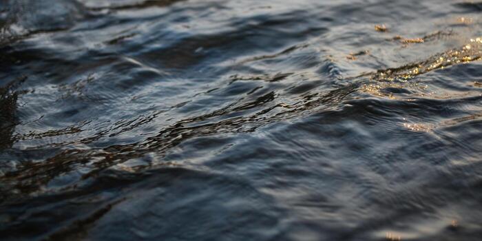 Gentle waves create an abstract pattern on the water's dark, reflective surface. photo