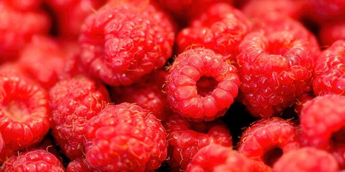 Delicious ripe raspberries in a close-up shot, perfect for any culinary project. photo
