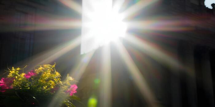 A bright sunlit window, casting rays over a colorful bouquet of flowers. photo