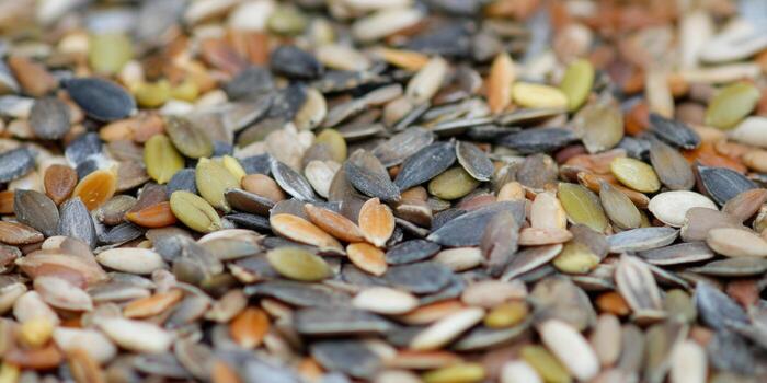 A colorful and diverse mix of various seeds for healthy eating concepts photo