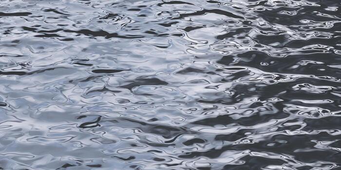 The surface of the water is rippling, creating an abstract and beautiful pattern of reflections. photo
