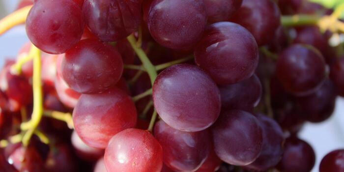 A cluster of vibrant red grapes, bursting with freshness and ready to be enjoyed. photo