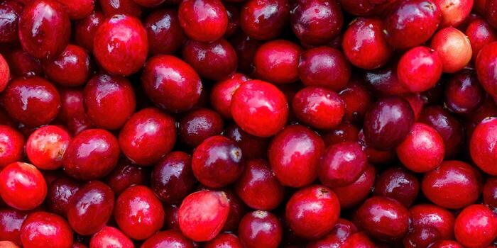 A beautiful display of fresh, red cranberries, ready to be enjoyed as a snack. photo