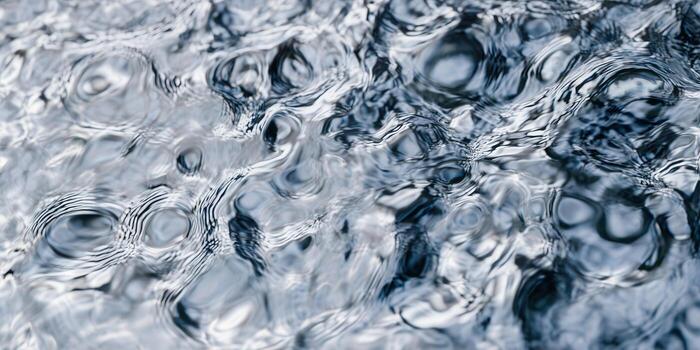The image captures the gentle movement of water, creating intricate patterns and reflections. photo