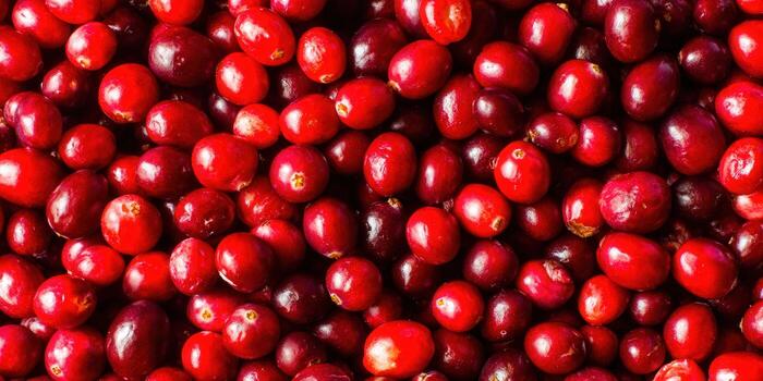 Pile of ripe, juicy cranberries, perfect for holiday recipes or healthy snacking. photo