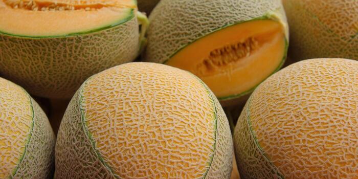 Close-up view of fresh cantaloupe melons, showing the juicy orange flesh and textured rinds. photo