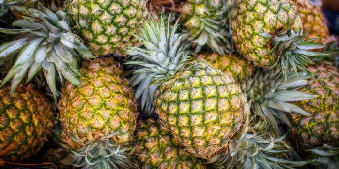 Pile of fresh and ripe pineapples ready to be eaten and enjoyed. photo