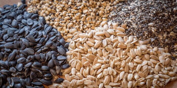 Various seeds and grains are displayed in a close-up composition, showcasing textures and forms. photo