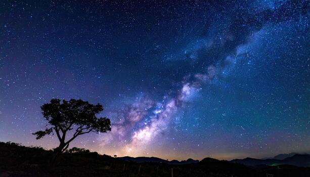 Silhouetted tree under a vibrant Milky Way photo