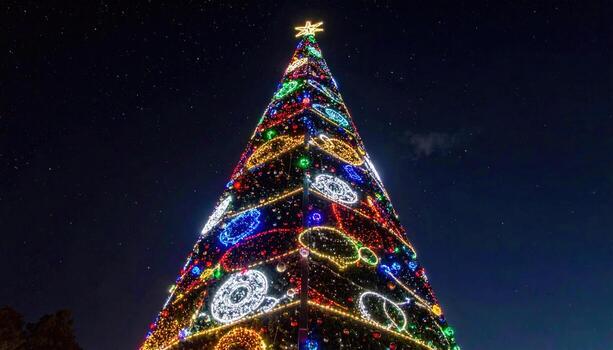Massive Christmas tree, vibrant lights, night sky photo