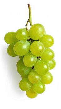 A bunch of vibrant green grapes hangs from a stem against a plain white background. The grapes are plump and clustered closely together, showcasing their smooth, light green skin. A subtle shadow is cast beneath the bunch, highlighting its three-dimensi photo