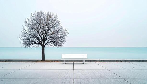 A serene, minimalist scene of a white bench and leafless tree on a paved walkway beside a tranquil, light teal colored body of water photo