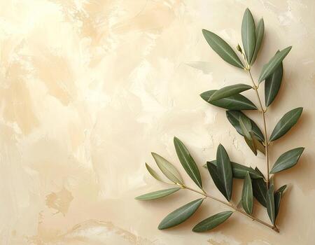Olive branches on a textured beige surface photo