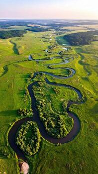 Aerial view of a winding river through lush green fields photo