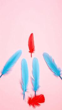 Bright feathers, red and light blue, arranged on a pale pink background photo