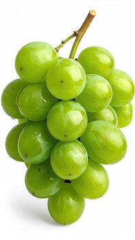Fresh green grapes cluster photo