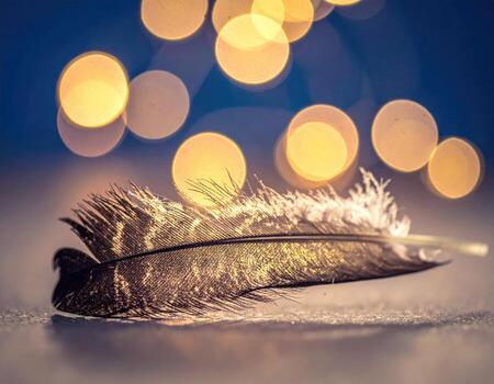 Delicate feather, golden highlights against bokeh photo