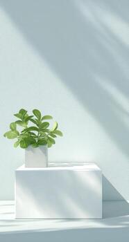 A potted plant on a white table in front of a blue wall photo