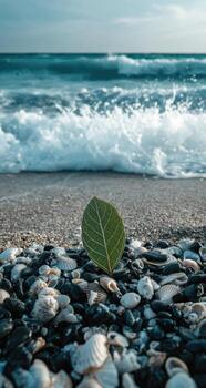 A leaf on the beach with shells and sea waves photo